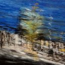 tableau Danielle Pierquet